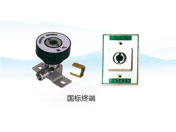国标终端