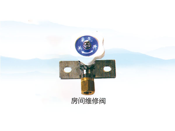 房间维修阀